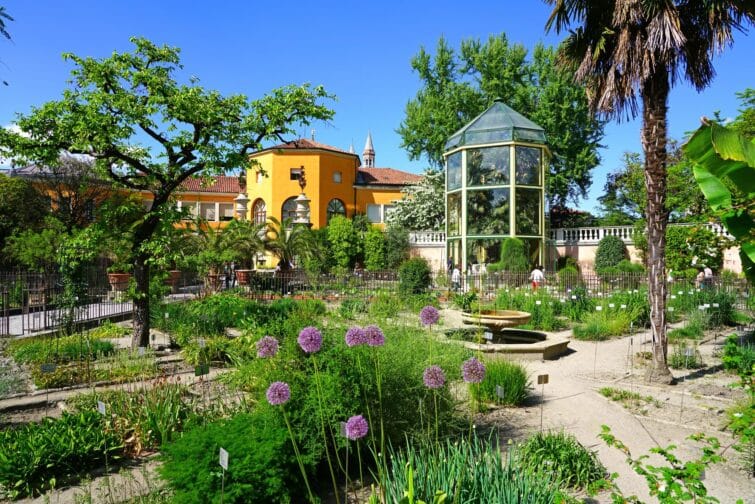 Veduta dell'Orto Botanico di Padova in Italia