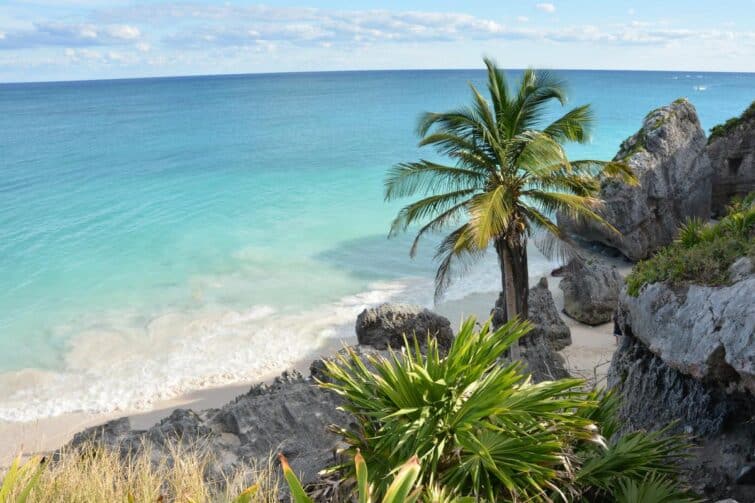 plage Paraíso à l'eau turquoise avec palmiers