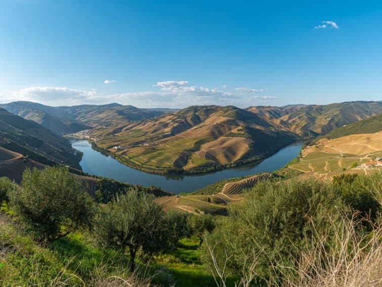 vue panoramique fleuve et montagnes de la Vale do Douro