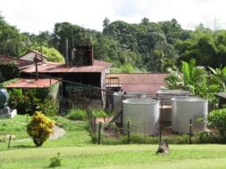 Domaine de Séverin, distillerie en Guadeloupe