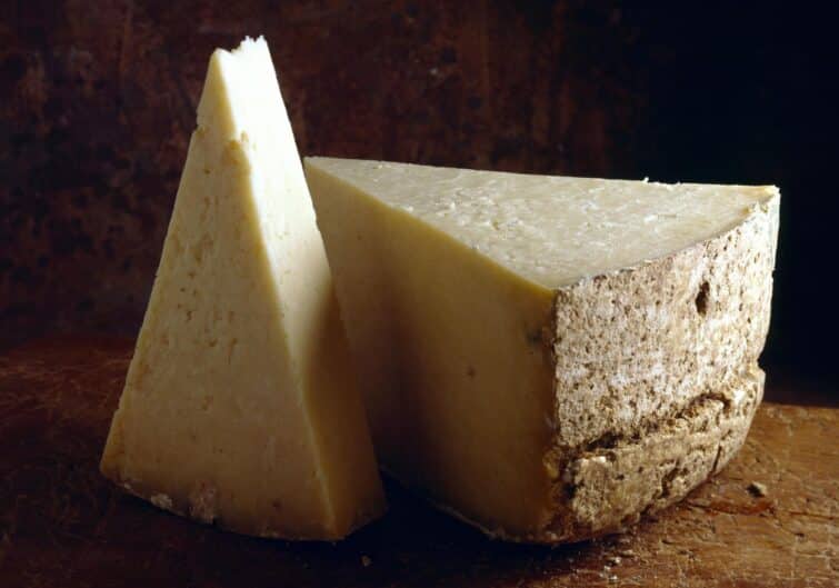 Fromage Salers Cantal