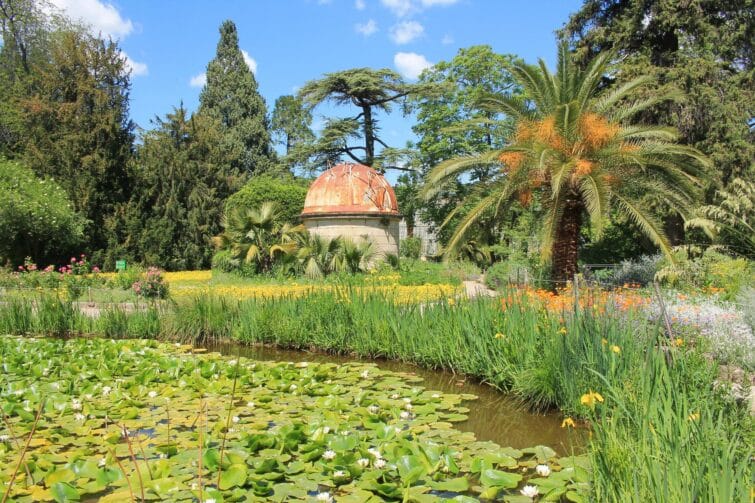Jardin des Plantes à Montpellier