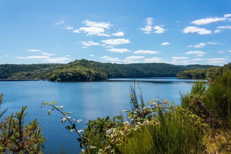 Lac artificiel de Guerlédan, forêt de Quénécan, Bretagne