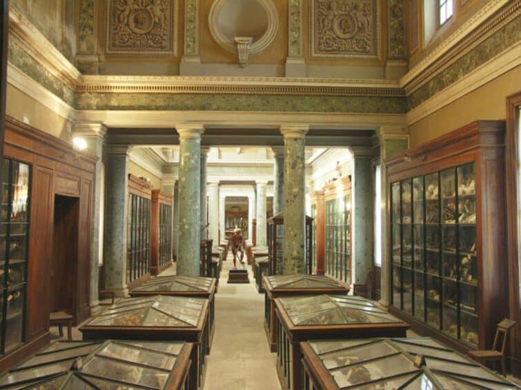 Musée de l'Anatomie à Montpellier