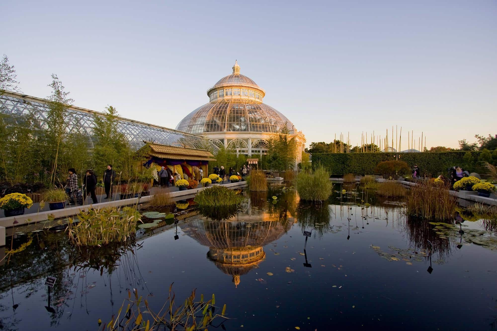 Serre dans le jardin botanique de New York