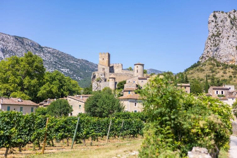 Village de Saint-Jean-de-Buèges et son château depuis les vignobles