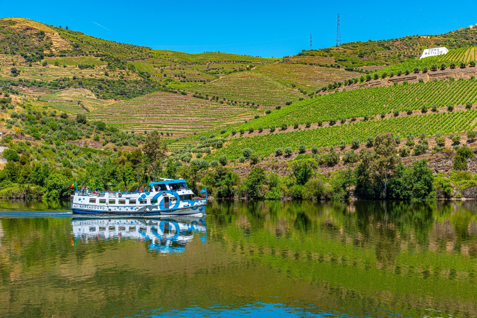Croisière sur le fleuve Douro à travers les vignobles de Porto