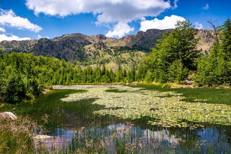 Le Grand Lac du parc national de Lura, Albanie