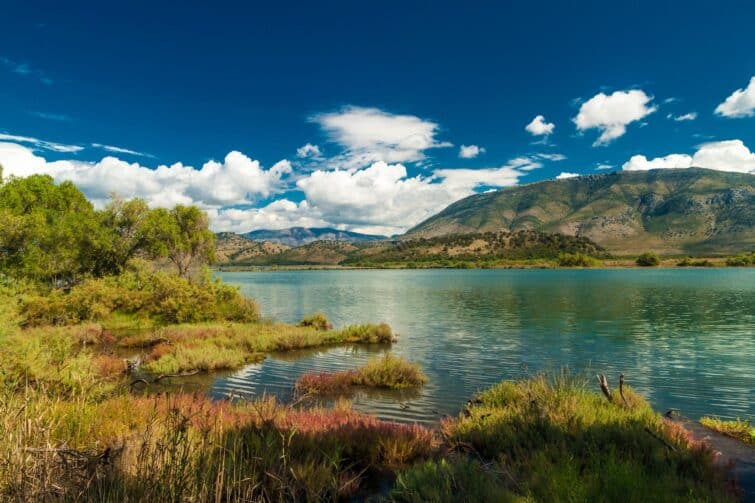 Le lac Butrint, Albanie