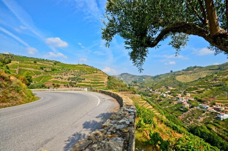 Route qui traverse la vallée du Douro
