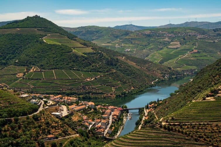 Vignobles autour de Pinhão, Douro