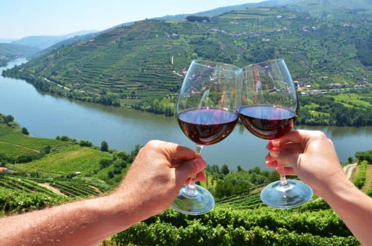 Vin de la Vallée du Douro, spécialité de Porto