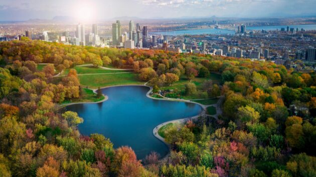 Vue aérienne de Montréal en automne