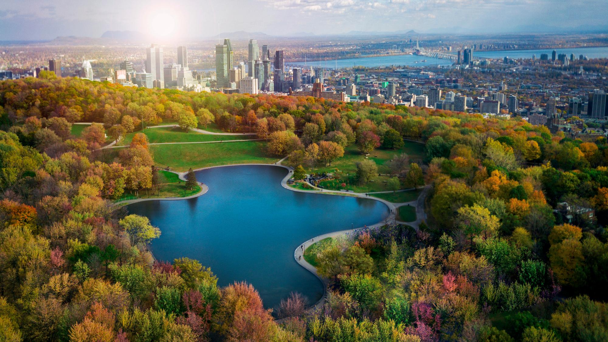 Vue aérienne de Montréal en automne