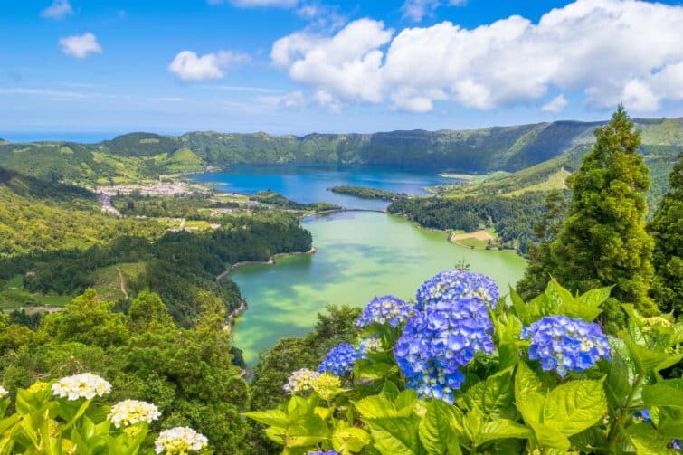 Vue sur le lac  Sete Cidades et ses hortensias sur l'île de São Miguel dans les Açores