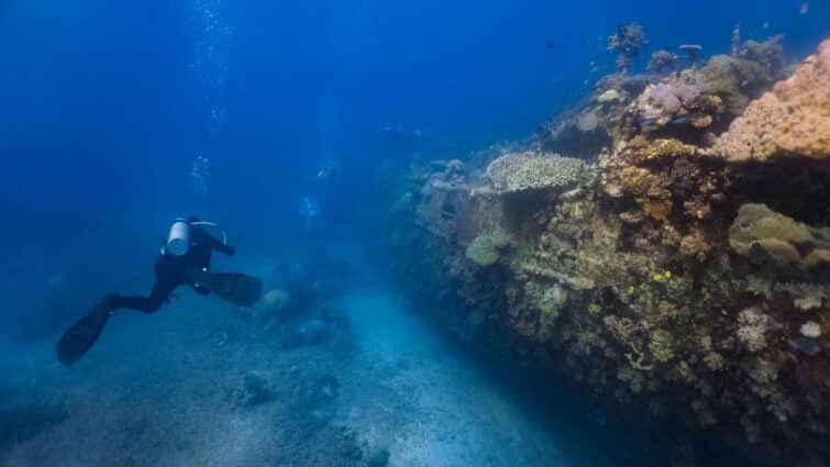 Exploration d'une épave sous-marine aux Açores