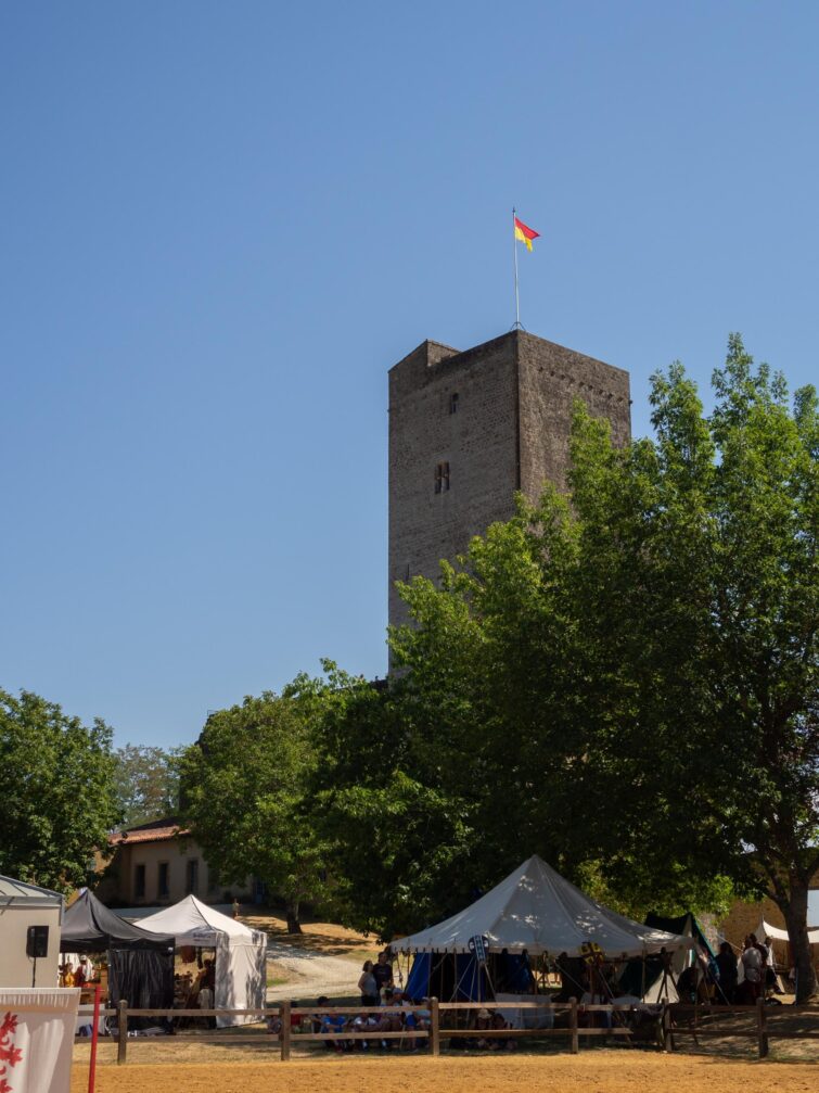 Fête médiévale au pied de la Tour de Termes-d'Armagnac