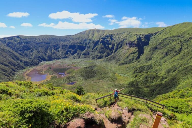 Le cratère du volcan Pico aux Açores