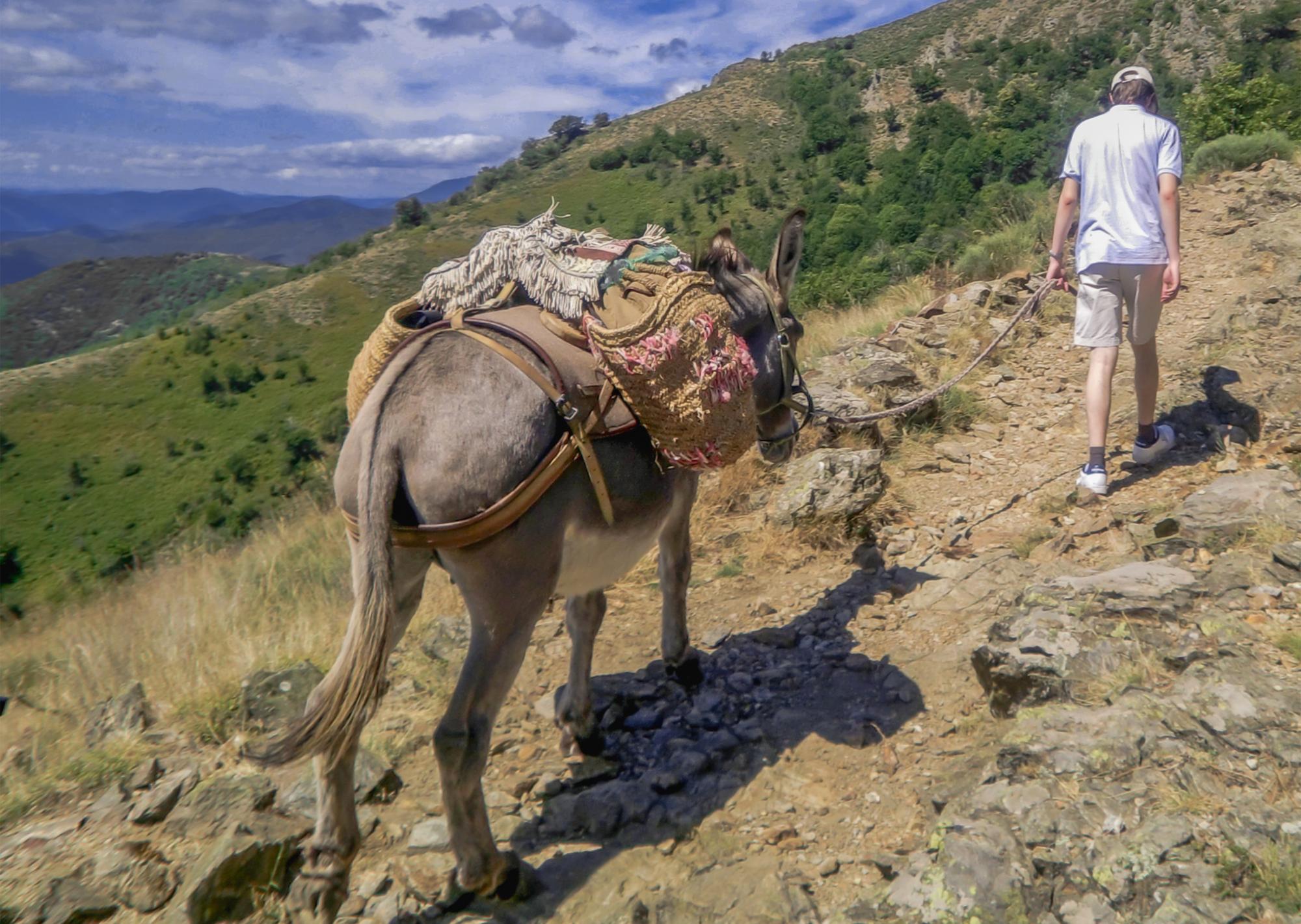 Dix Anes Dans Les Cevennes Zusammenfassung Deutsch 8 activités à faire dans les Cévennes pour les enfants