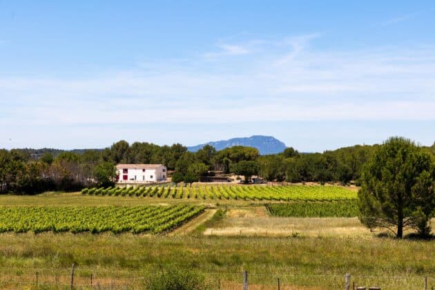 Vignobles dominés par le Pic Saint-Loup, Occitanie, France