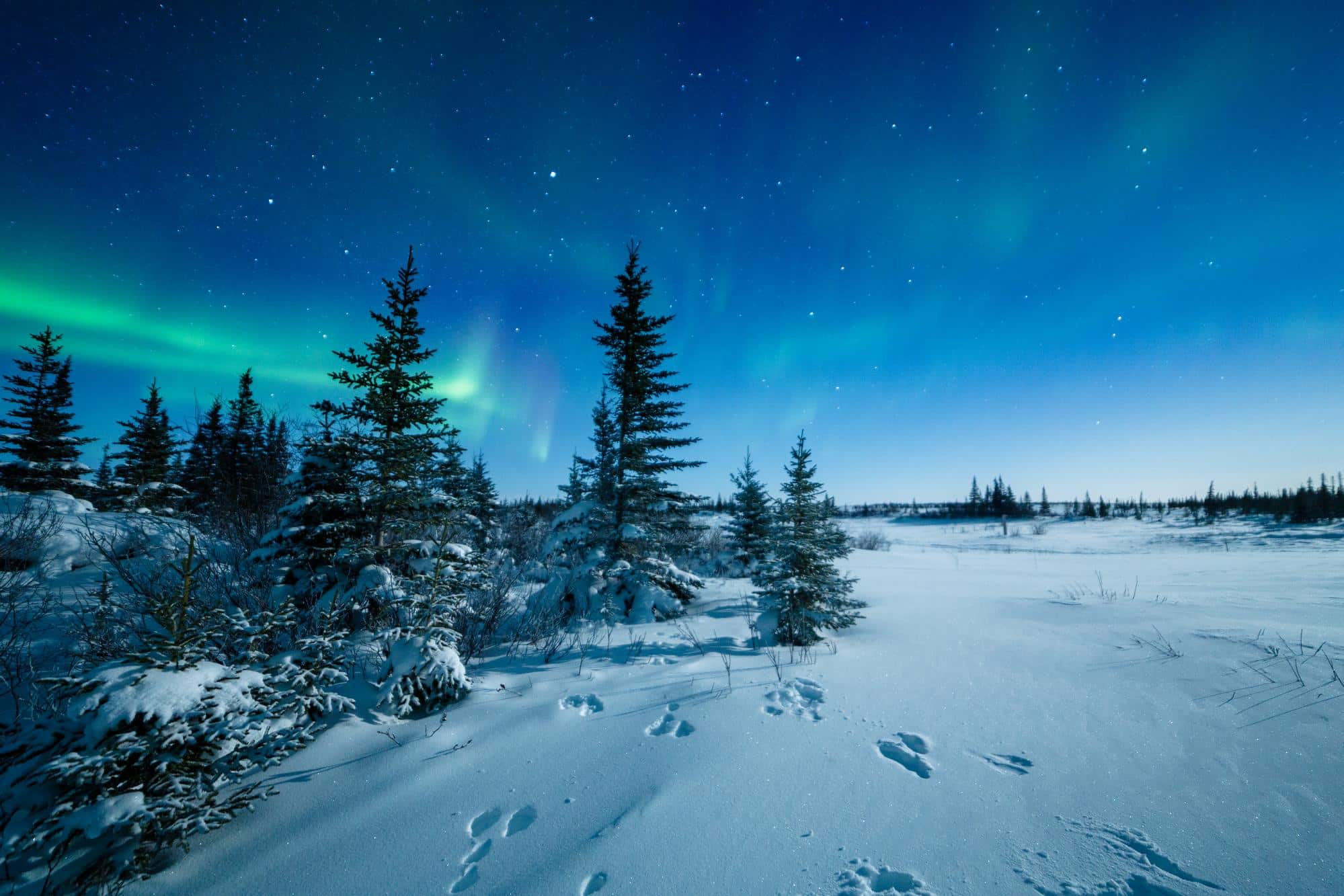 Aurores boréales à Churchill, Canada