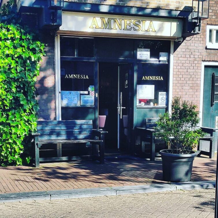 L'Amnesia à Amsterdam