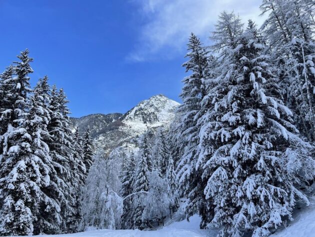 Paysages d'hiver randonnée long de l'Arve à Chamonix