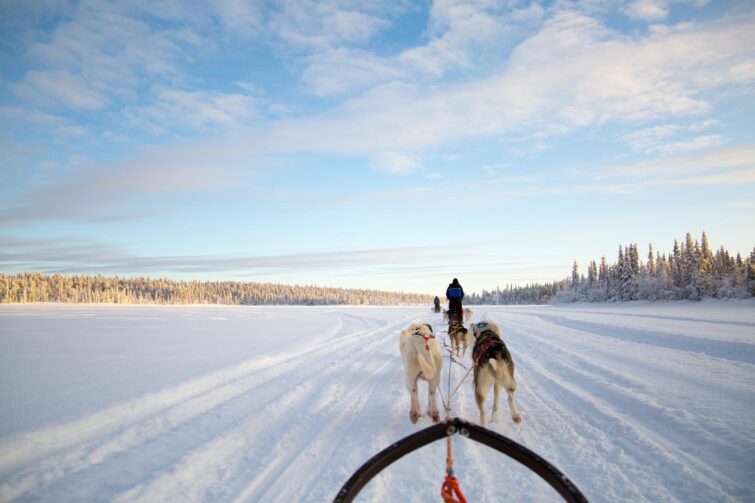 Randonnée en traîneau à chiens à Kiruna