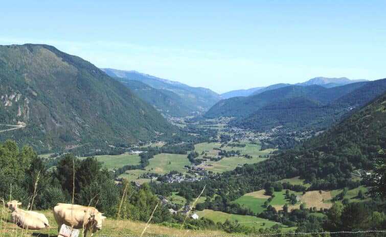 Vallée de l'Aure, falaise de Pène Haute, Hautes-Pyrénées, Occitanie