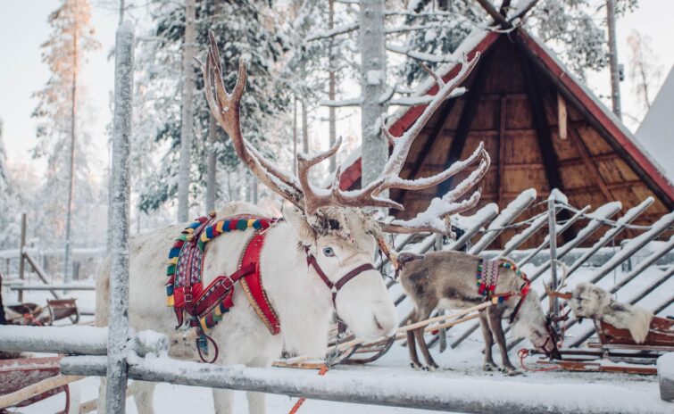 Village de Noël Rovaniemi en Finlande