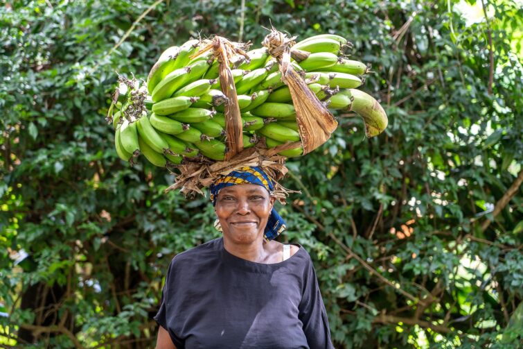 Bananes vertes, Tanzanie