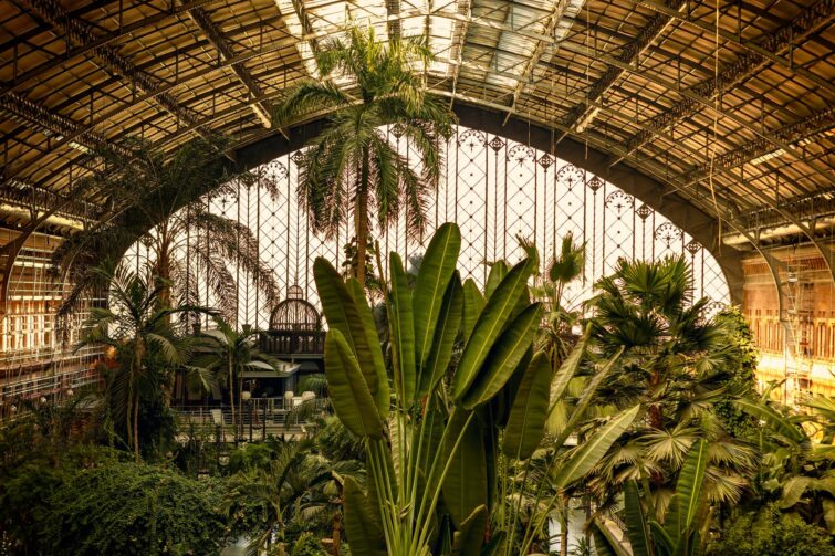 Le jardin tropical dans la gare d'Atocha