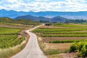 Route du vin Espagne