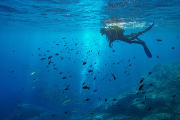Un plongeur dans les eaux de la Costa Brava en Espagne