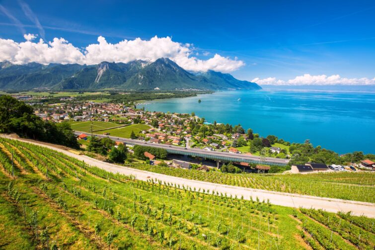 Vignoble Vaud, Suisse