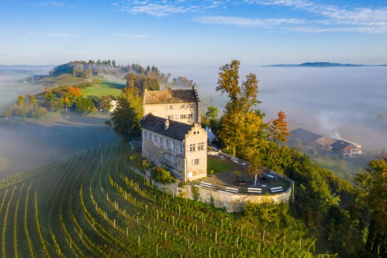 Vignoble canton de Zurich, Suisse