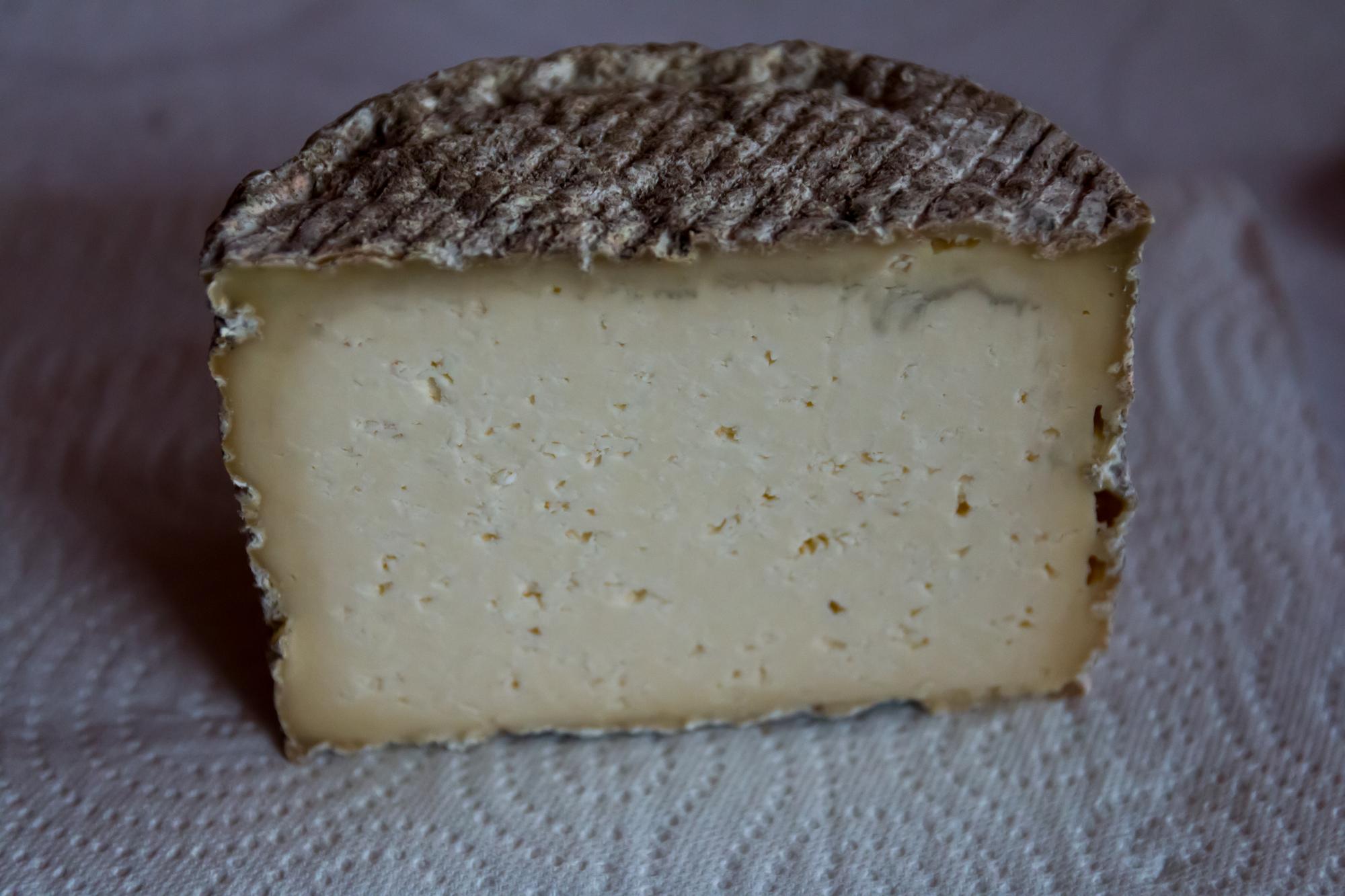 Les 5 Fromages Moins Connus Dauvergne Rhône Alpes à Découvrir 