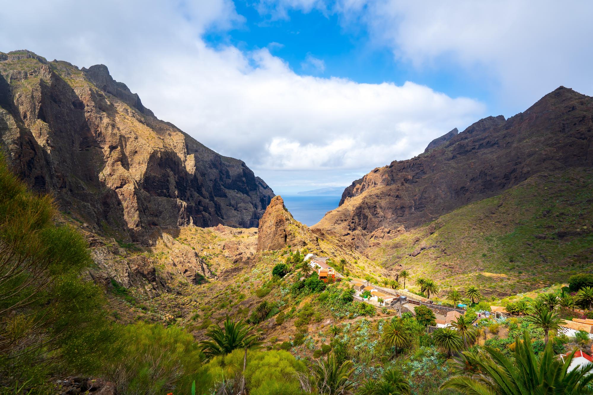 7 endroits incroyables où observer la faune et la flore aux Canaries