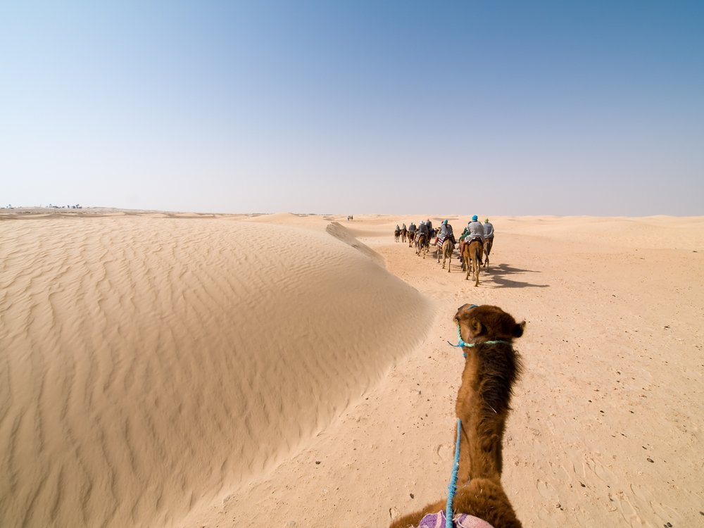 Balade-dos-dun-chameau-Djerba