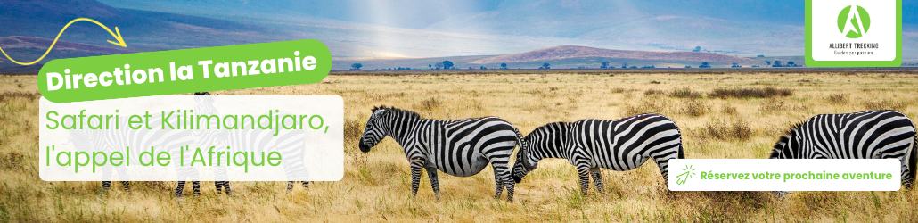 Les 9 meilleurs safaris à faire en Tanzanie