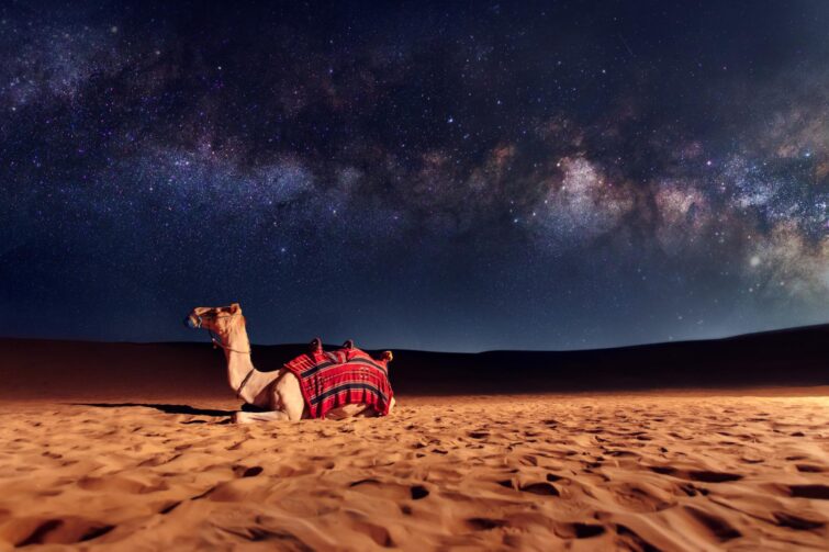 Dubaï Safari nocturne dans le désert