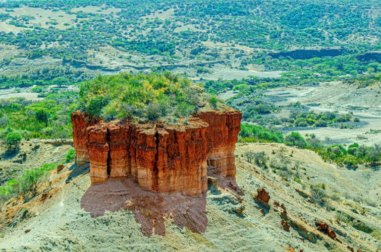 Gorges d'Olduvai, Tanzanie
