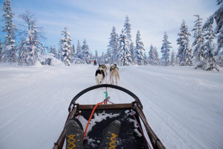 Initiation à la conduite d'un traîneau à chiens, Kiruna