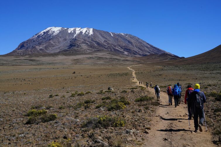 Kilimandjaro sommet mythique Tanzanie