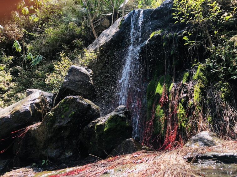 La cascade Bras rouge, île de la Réunion