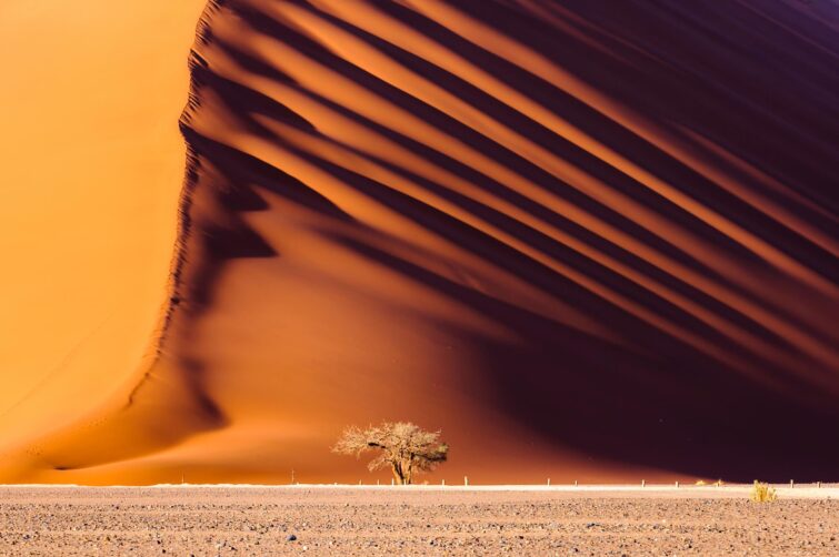La dune 45 dans le désert du Namib en Namibie