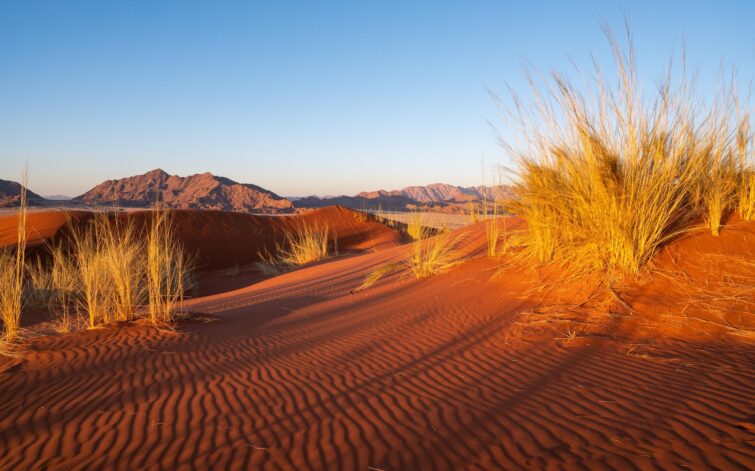 La dune Elim près du canyon de Sesriem en Namibie