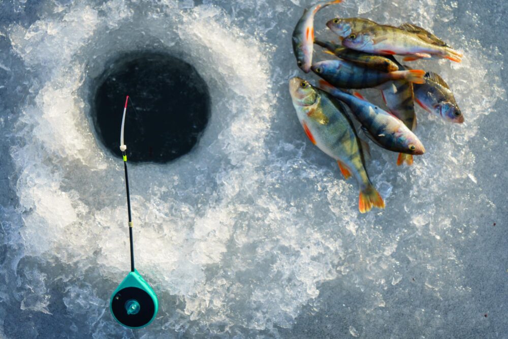 Lot De Pêche Sur Glace Northland - Cuillers à Jigging, Forme Poisson, Eau Douce, Occasion