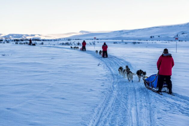 Les meilleures expériences de traîneau à chiens à Kiruna, Suède