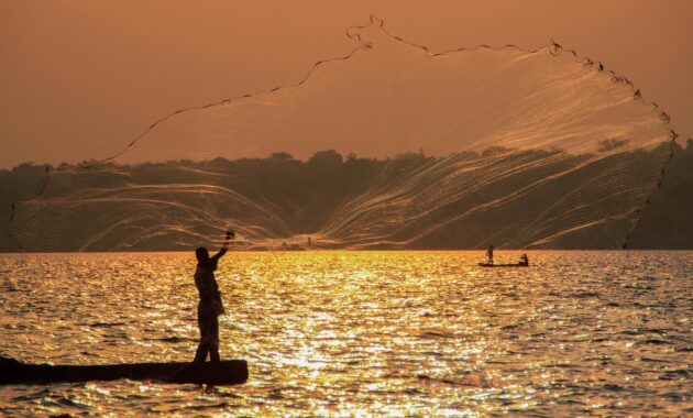 Les meilleurs endroits où pratiquer la pêche au gros en Tanzanie